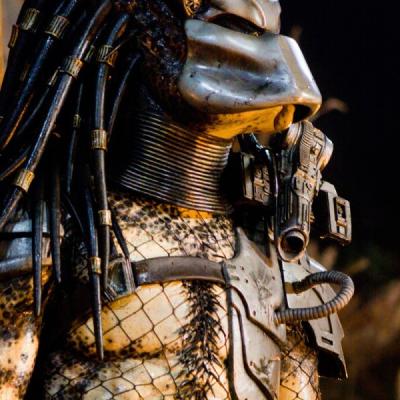 Predators79